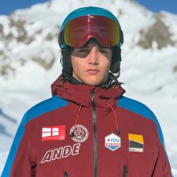 fabio succetti